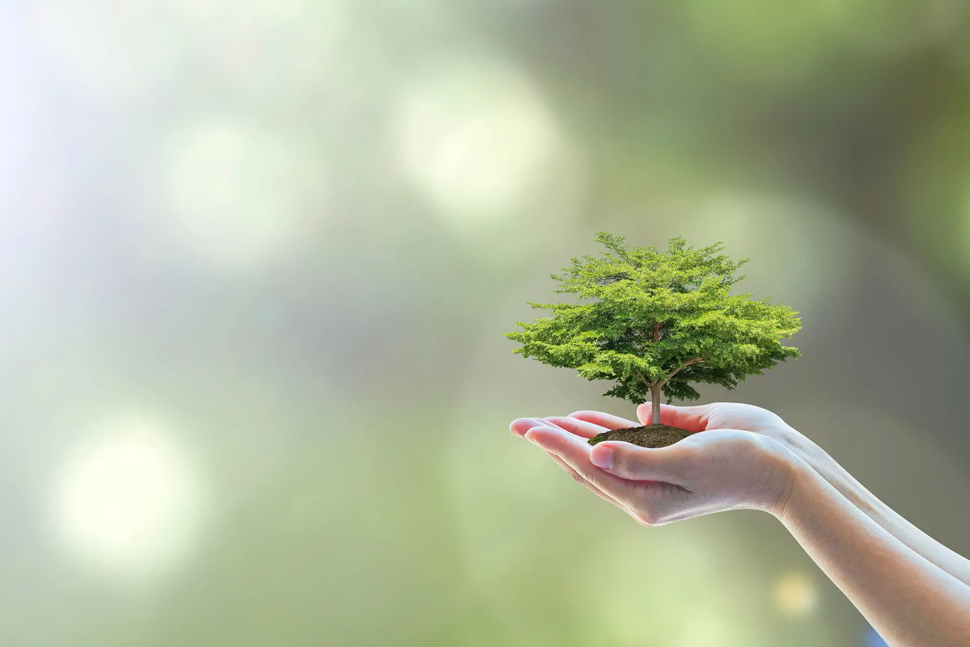 sustainable and eco friendly cleaning company